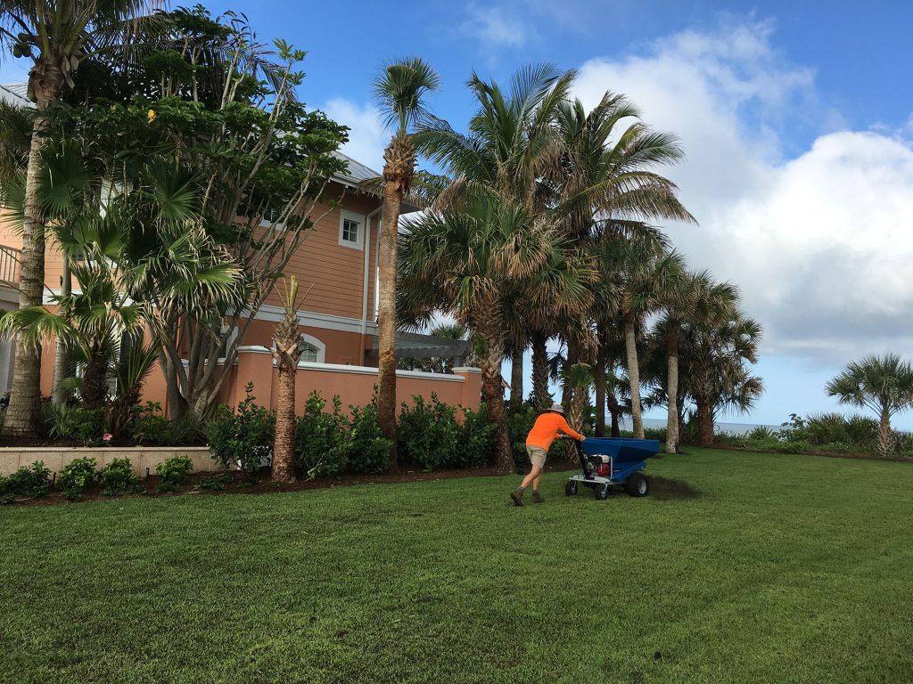 Soil topdressing Sarasota Florida