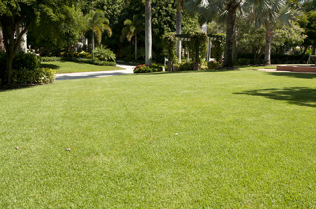 Turf And Lawn Care In Sarasota FL